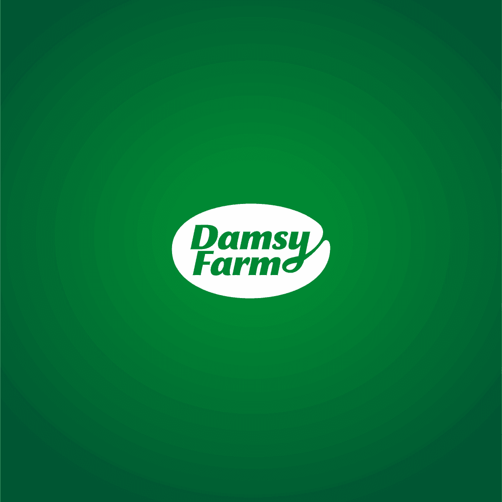 Damsy